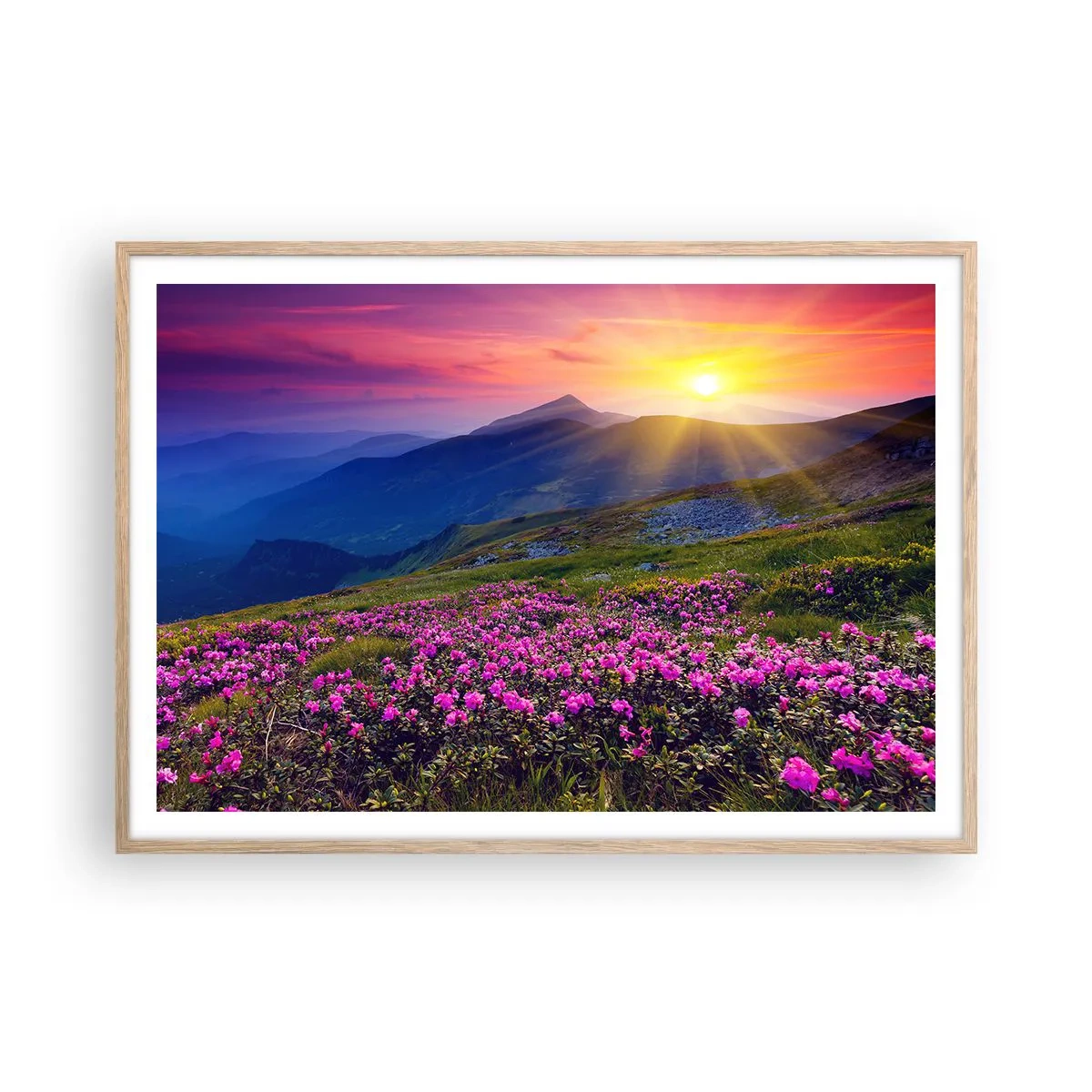 Poszter világos tölgy keretben - … És körülötte hegyi fenyő és gyógynövények illata - 100x70 cm