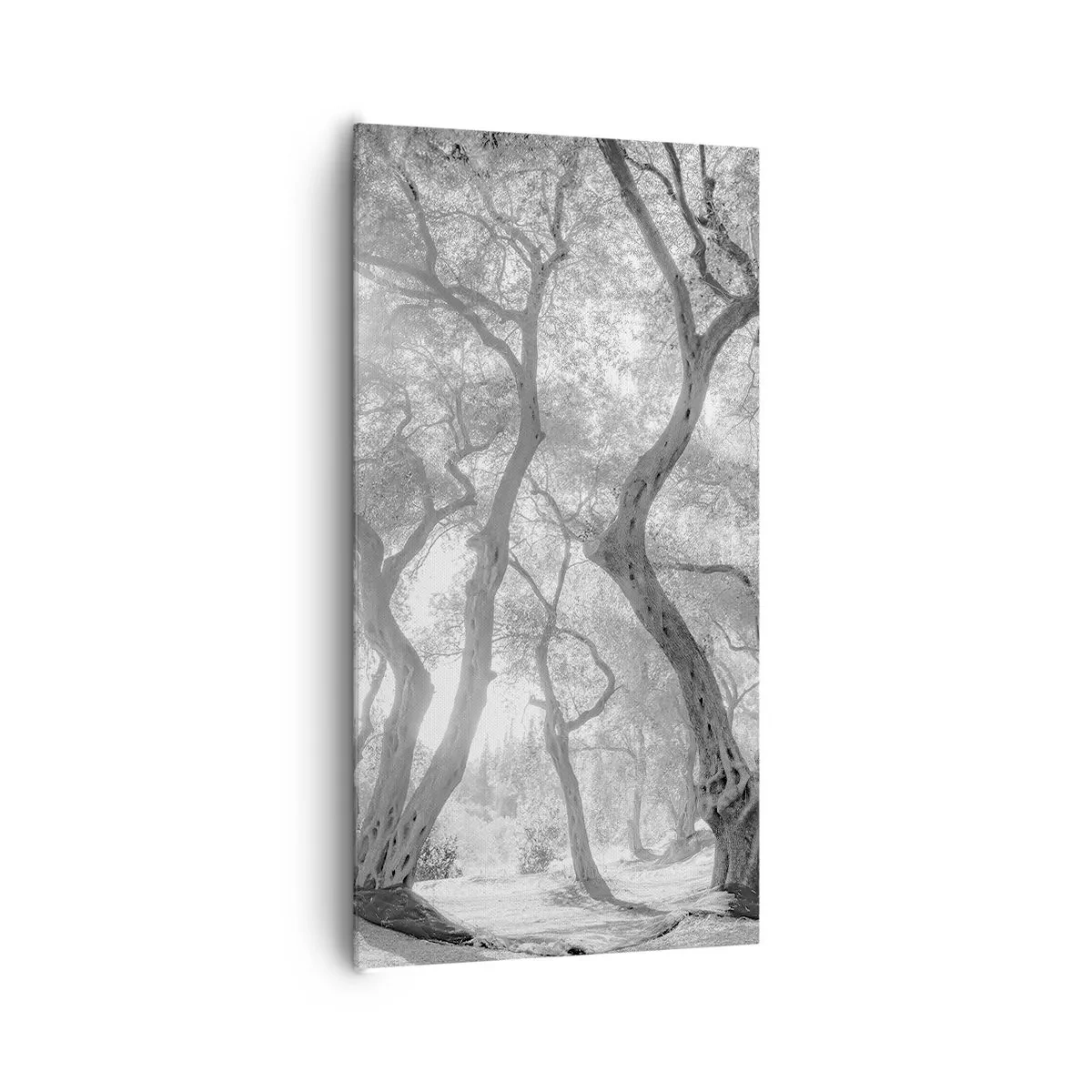 Vászonkép - Egy olajfaligetben - 65x120 cm