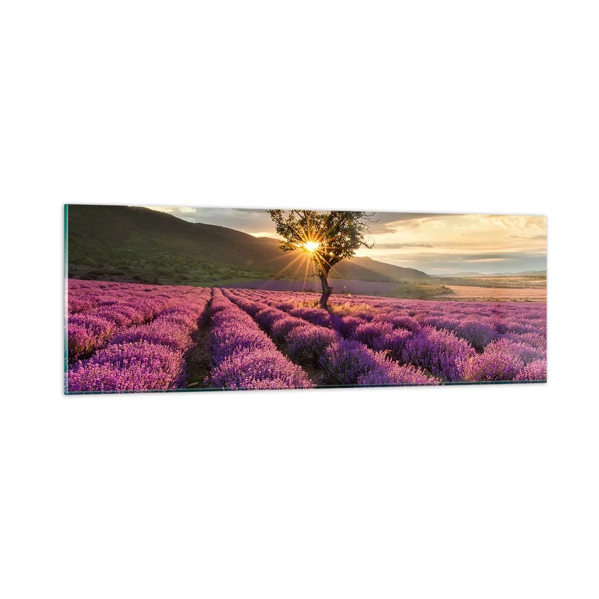 Üveg kép - Lila színű illat - 90x30 cm