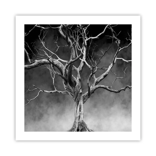 Poszter - Ősi és szent - 50x50 cm