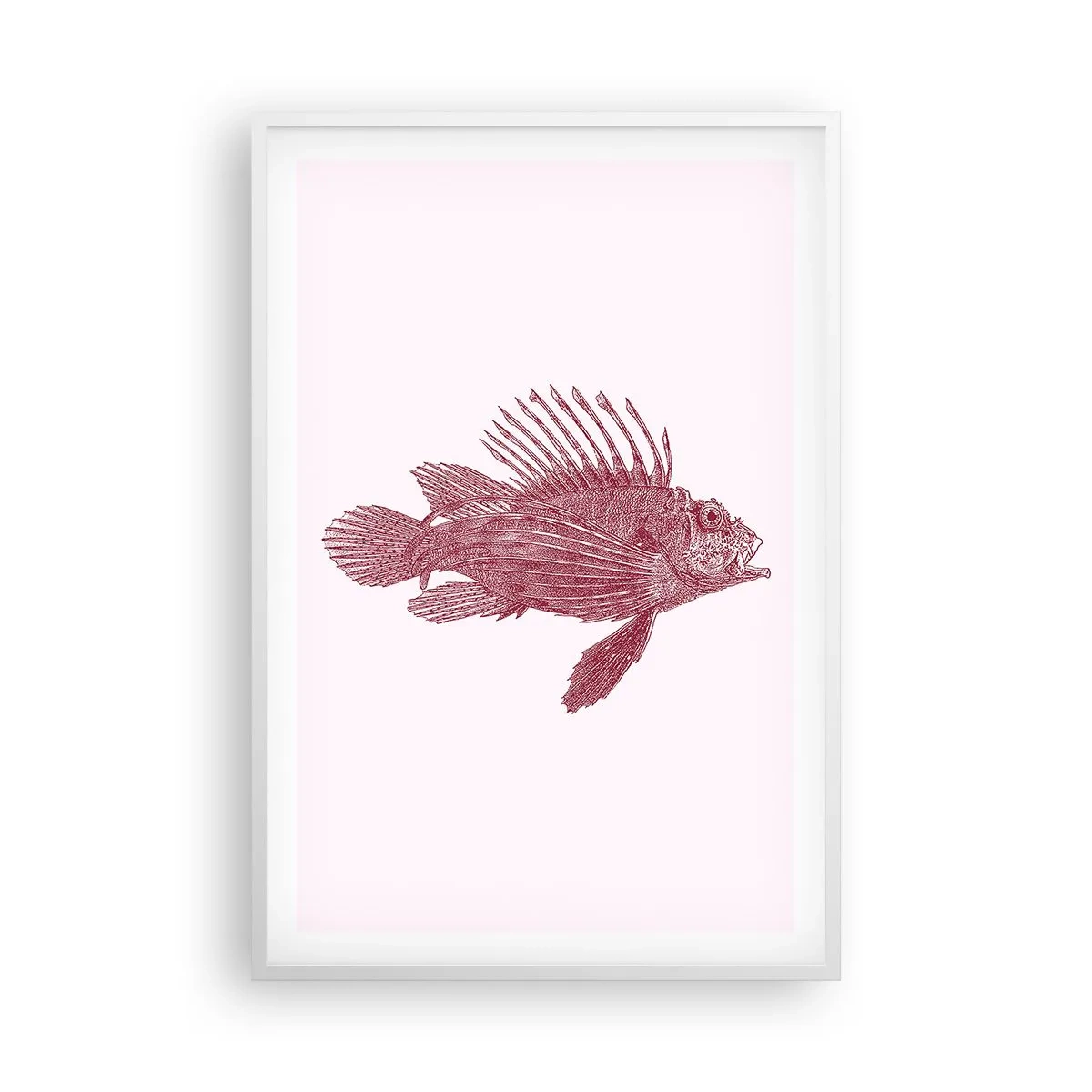 Poszter fekete keretben - Egzotikus vizek lakója - 61x91 cm