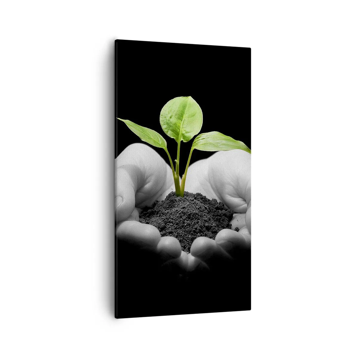 Vászonkép - Szeretem a természetet, védem azt - 55x100 cm