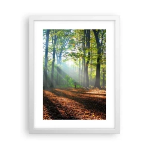 Poszter fekete keretben - Ragyogások és árnyékok - 30x40 cm