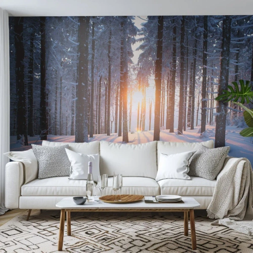 Fotótapéta Premium Sand - Egyértelműen fekete-fehéren - Tájkép, Erdő, Hó - 450x315 cm