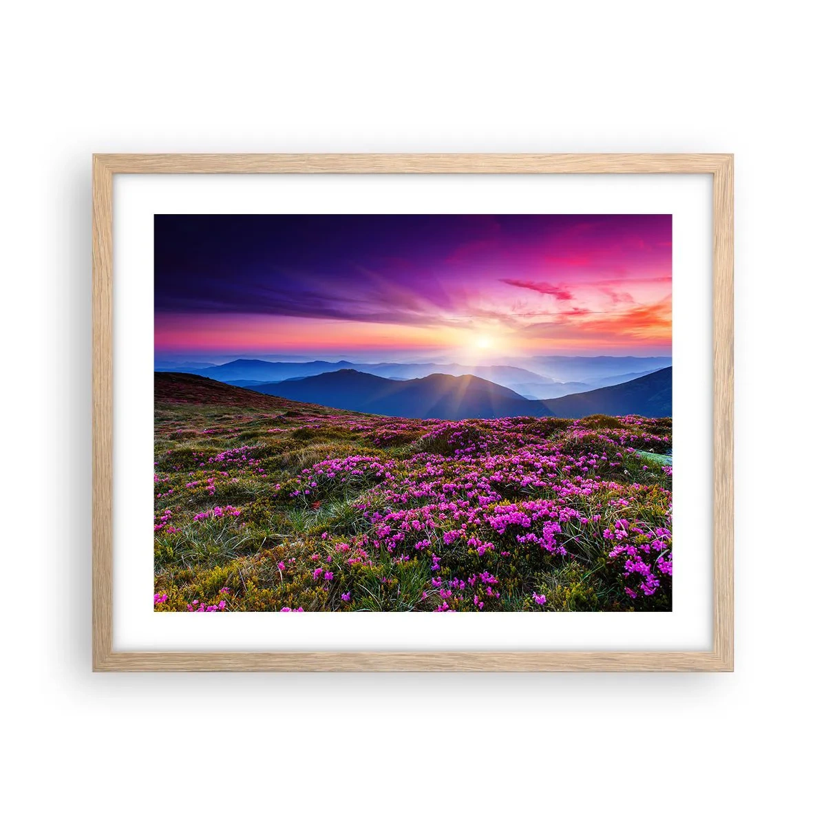 Poszter világos tölgy keretben - A gyógynövények friss fürtjei illatoztak a mezőkről - 50x40 cm