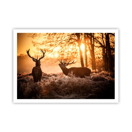 Poszter - Vadász álma - 100x70 cm
