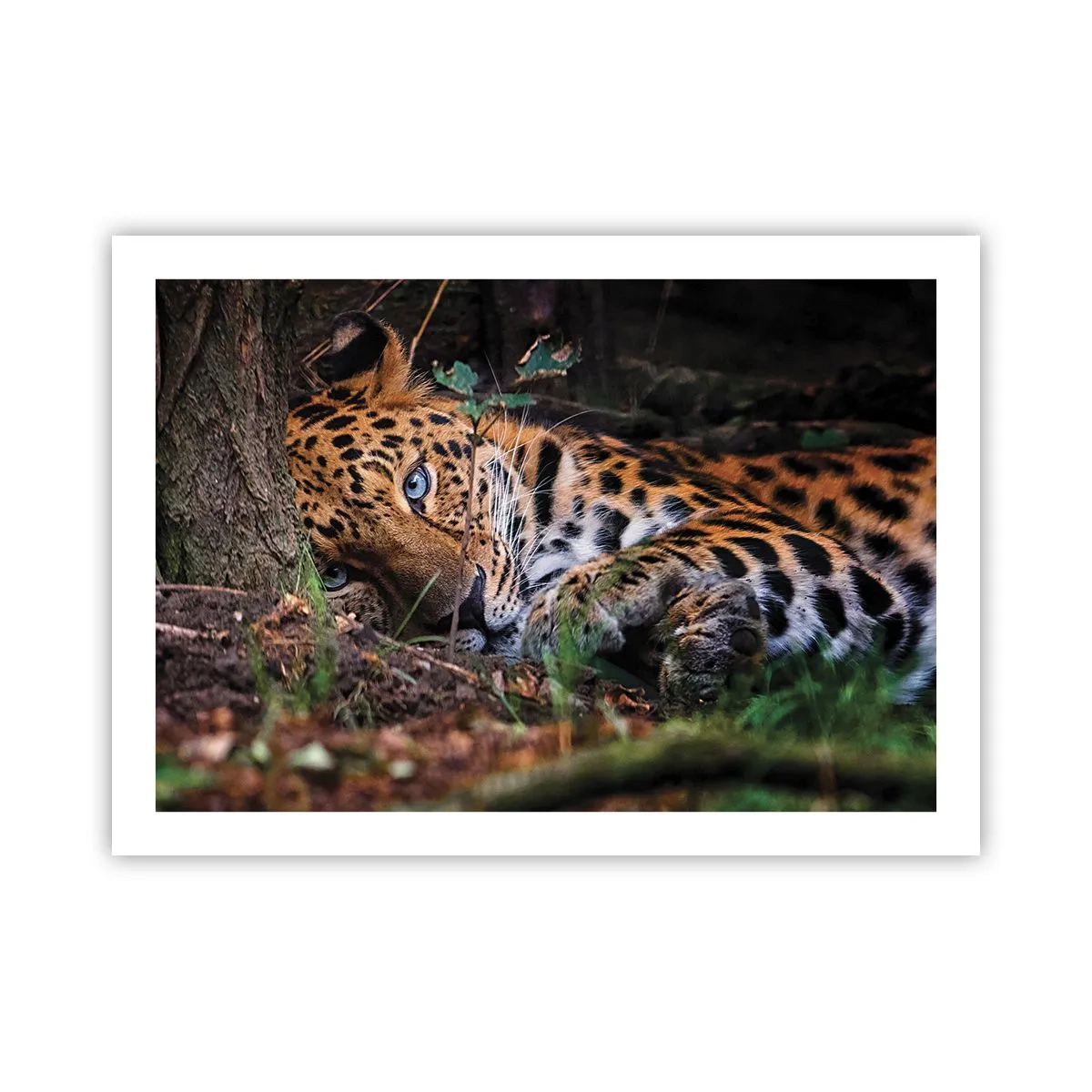 Poszter - Bízz bennem - 70x50 cm