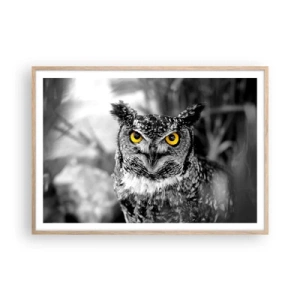 Poszter világos tölgy keretben - Semmi sem fog elbújni - 100x70 cm