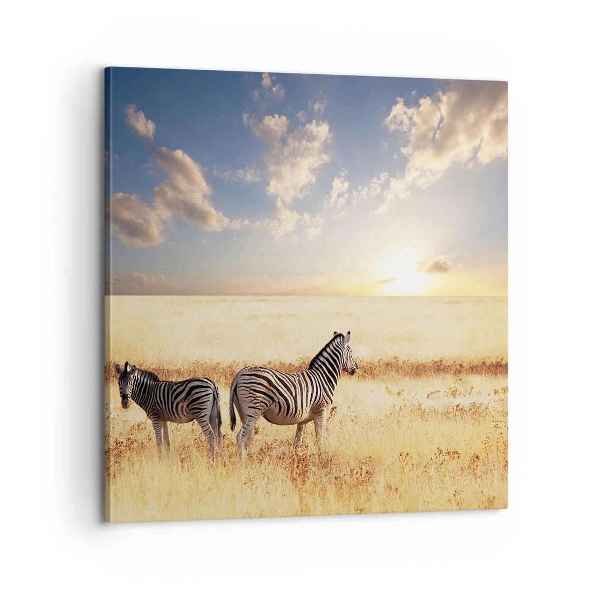 Vászonkép - Menj el, ne zavard a békét - 60x60 cm