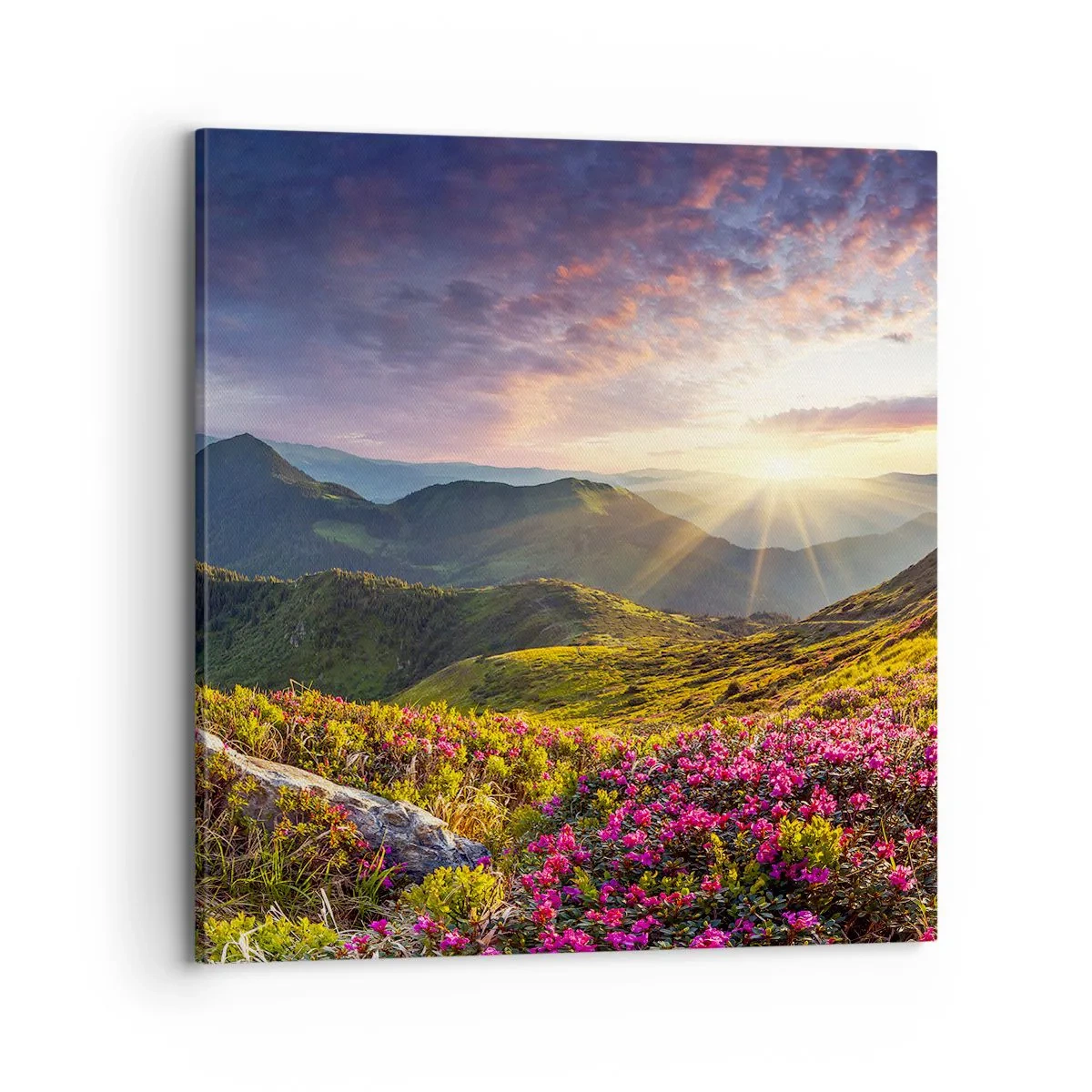 Vászonkép - A Hegyi reggeli frissesség - 70x70 cm