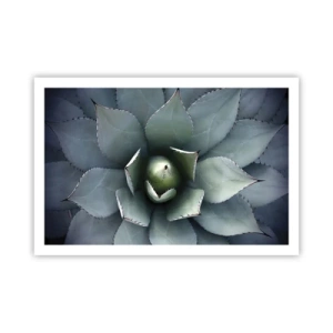 Poszter - Wabi és figyelmeztetés - 91x61 cm