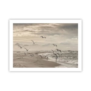 Poszter - A tenger hangja, a madarak éneke - 70x50 cm