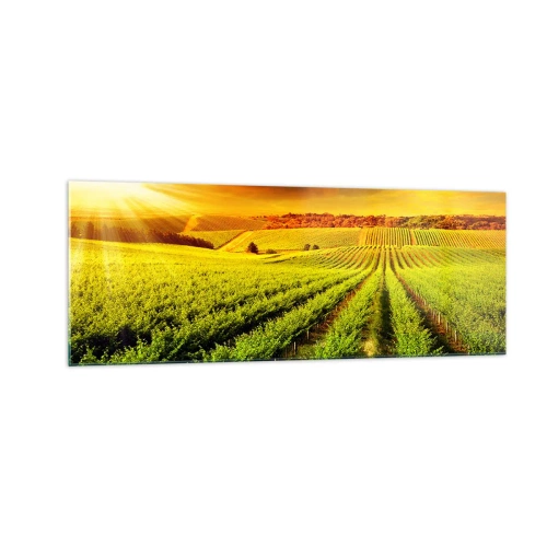 Üveg kép - Ausztrál nap alatt - 140x50 cm
