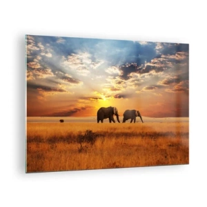 Üveg kép - Elefántok az afrikai szavannán naplementekor - 70x50cm - Családi séta - Modern fali dekoráció nappalihoz és hálószobához ARTTOR