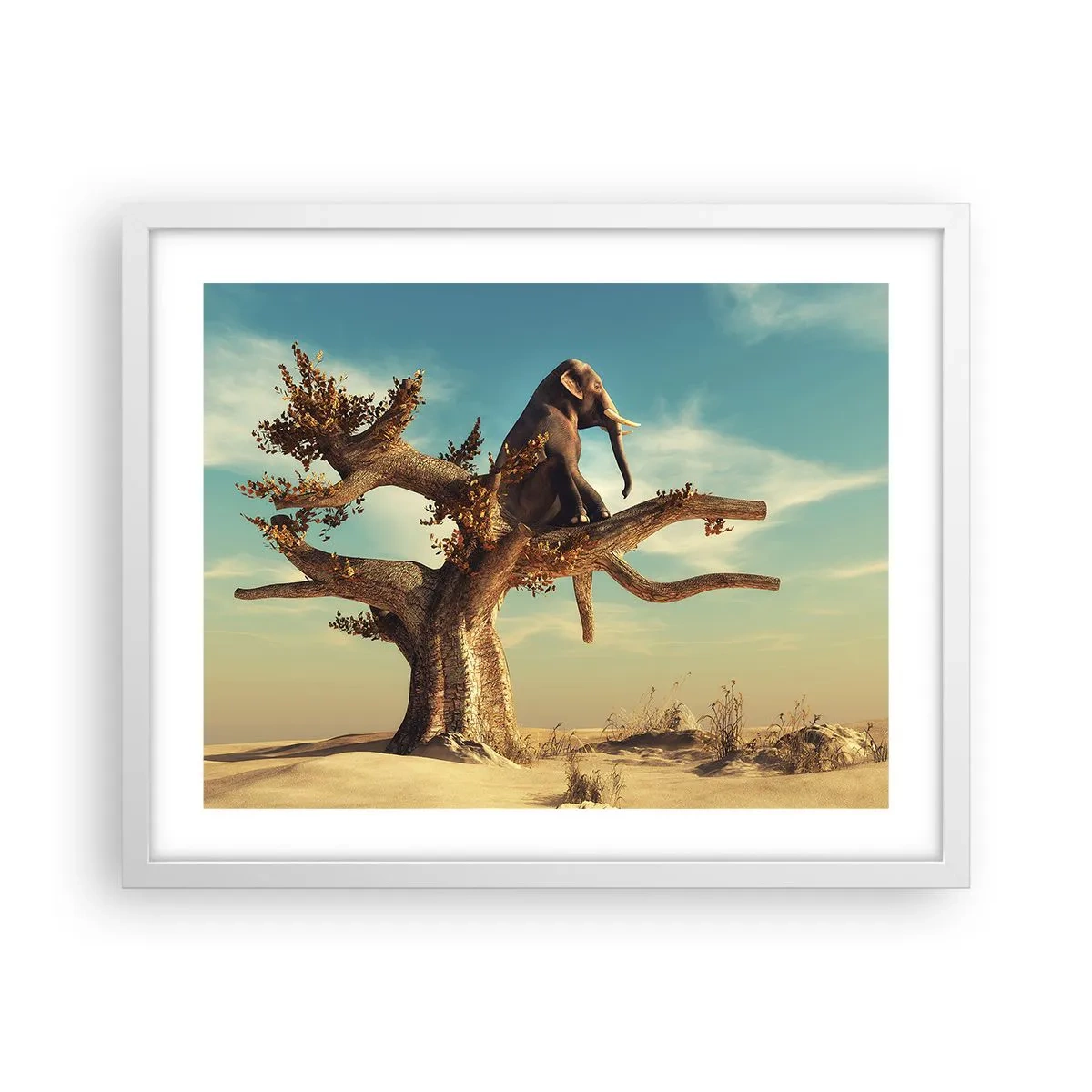 Poszter fekete keretben - Egy új nézőpont - 50x40 cm