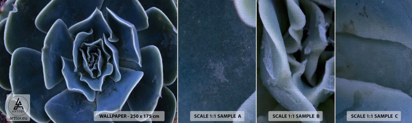 Fotótapéta Minta Premium Canvas - A sivatag virága - Agave virág, Virág, Természet - 100x30 cm