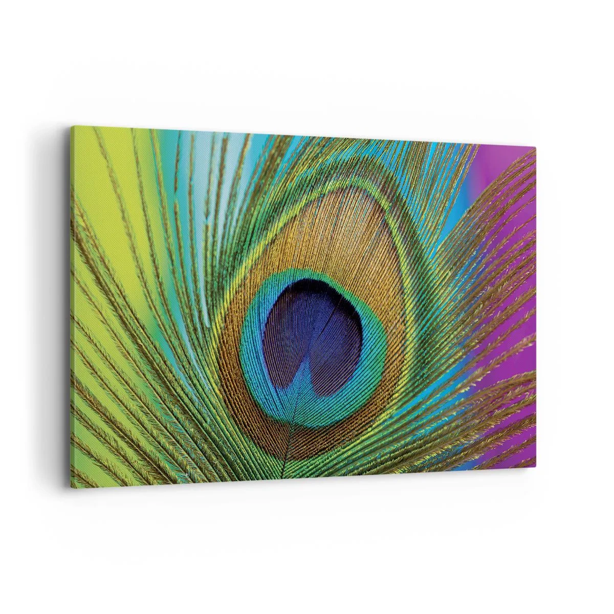 Vászonkép - Szemtől szemben - 120x80 cm