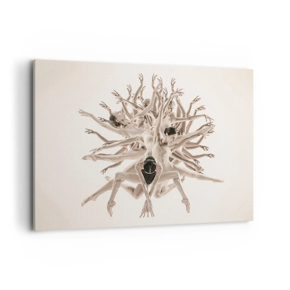 Vászonkép - Virágzás a táncban - 100x70 cm