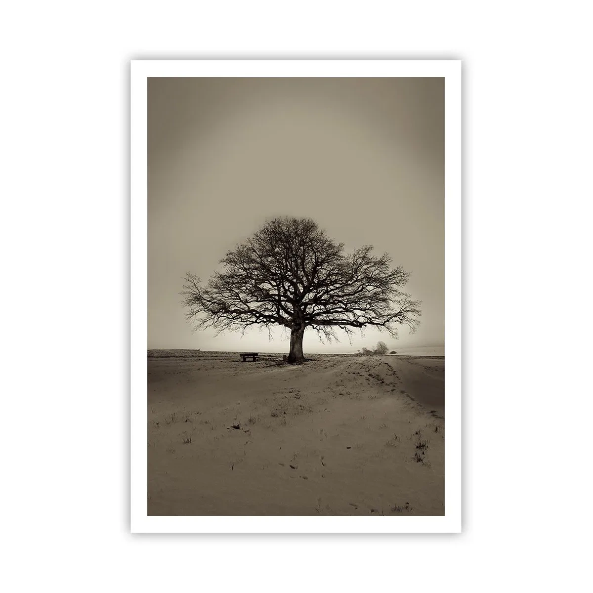 Poszter - Innen az örökkévalóságig - 70x100 cm