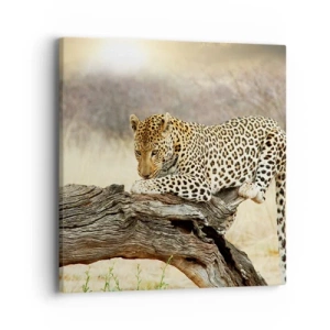 Vászonkép - A magam útjait járom - 40x40 cm