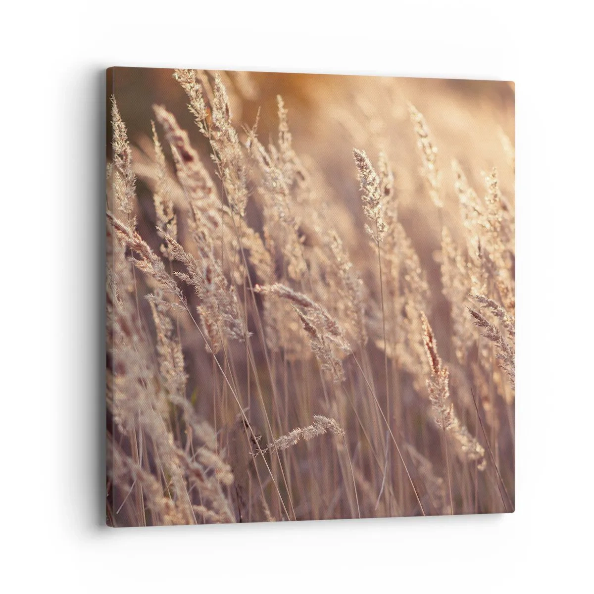 Vászonkép - Készen az ősz fogadására - 40x40 cm