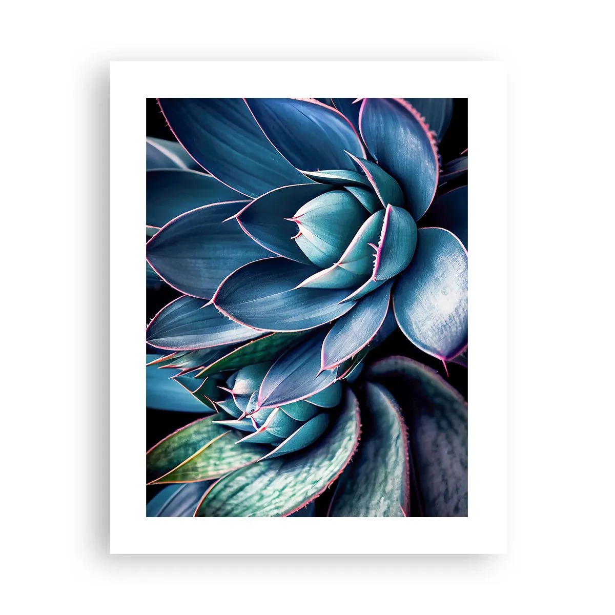 Poszter - Életerő - 40x50 cm