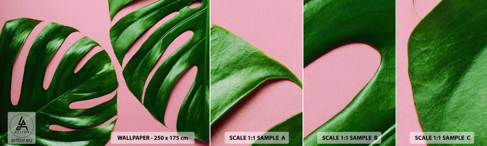 Fotótapéta Minta Öntapadós Deluxe Sticker - Zöld rendez-vous - Monstera, Zöld levél, Egzotikus növény - 100x30 cm