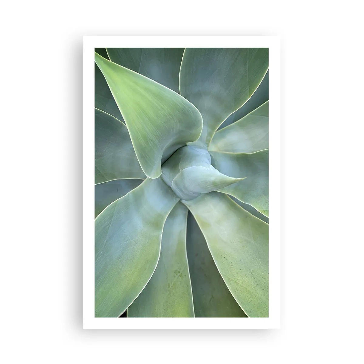 Poszter - A zöld születése - 61x91 cm