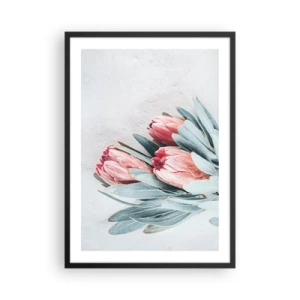 Poszter fehér keretben - Protea virágok finom kompozíciója világos háttér előtt - 50x70cm - Szégyellve saját szépségüket - Modern fali dekoráció nappalihoz és hálószobához ARTTOR
