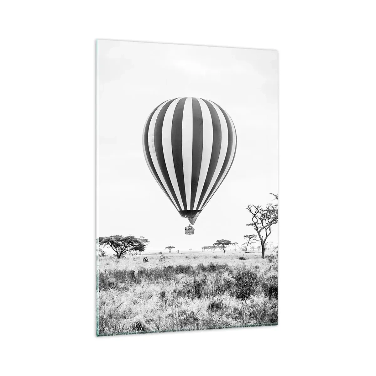 Üveg kép - A szavanna felett - 80x120 cm