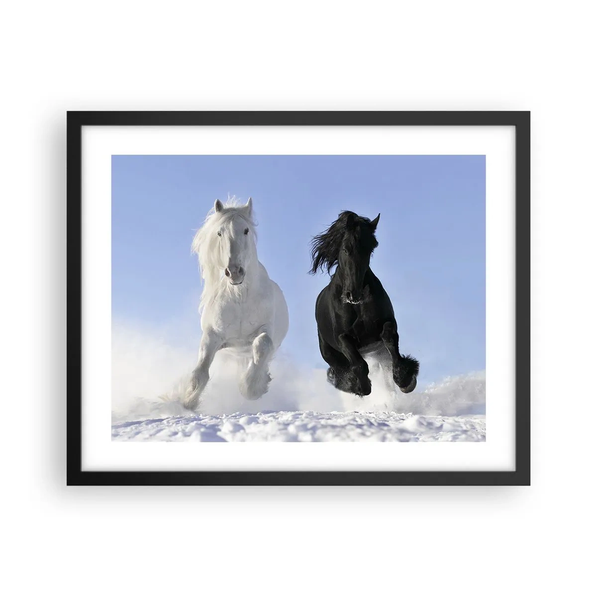 Poszter fehér keretben - Fekete-fehér galopp - 50x40 cm