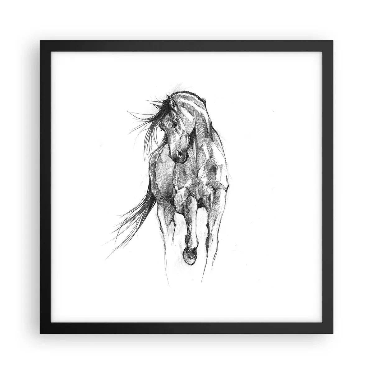 Poszter fehér keretben - Kecses ügetésben - 40x40 cm