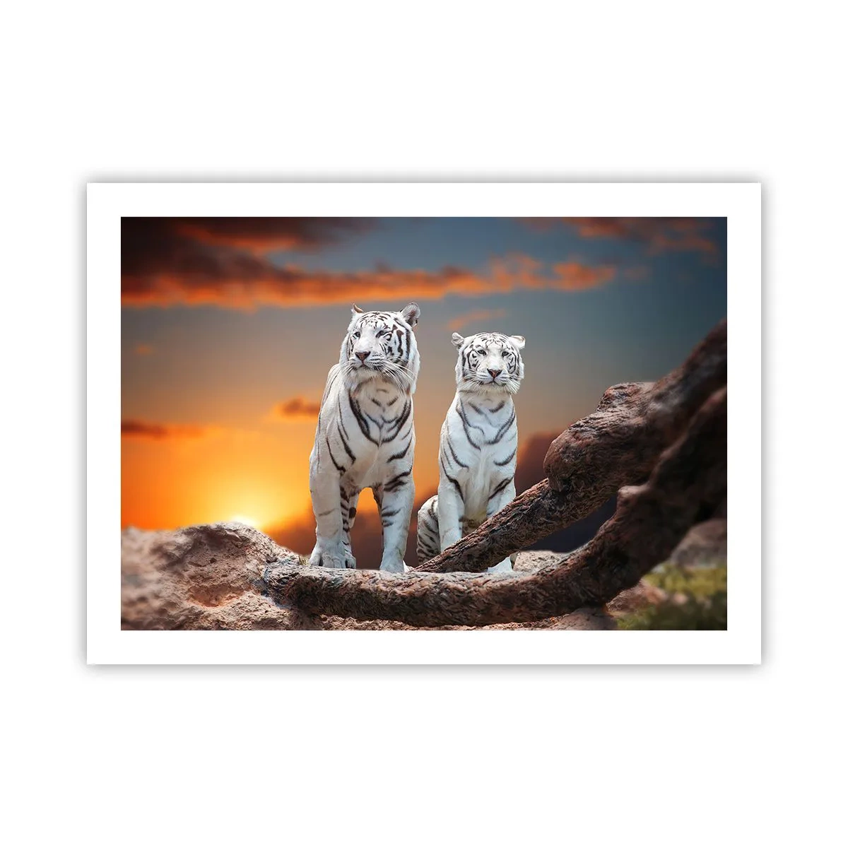 Poszter - Akárcsak Narnia - 70x50 cm