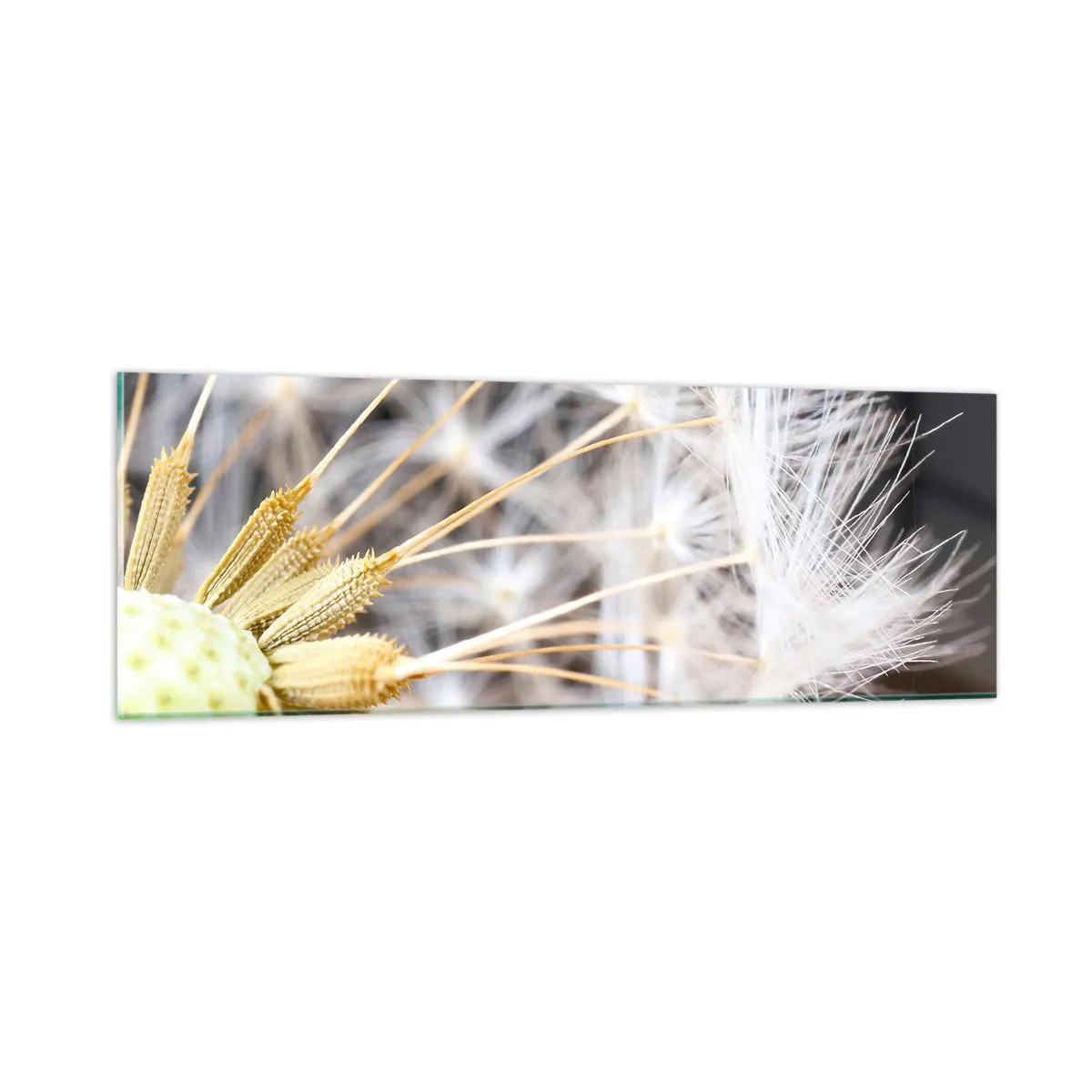 Üveg kép - Közvetlenül az indulás előtt - 90x30 cm