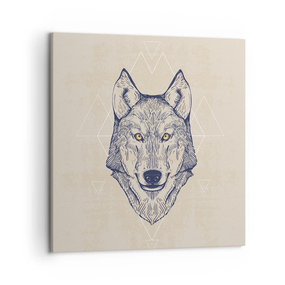 Vászonkép - Átható tekintetű alfa - 50x50 cm