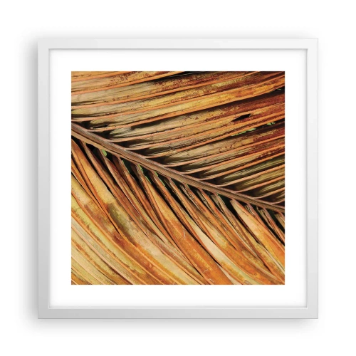 Poszter fekete keretben - Kókusz aranya - 40x40 cm