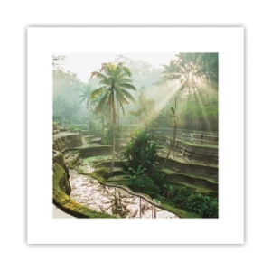 Poszter - Felnőni a napon - 30x30 cm