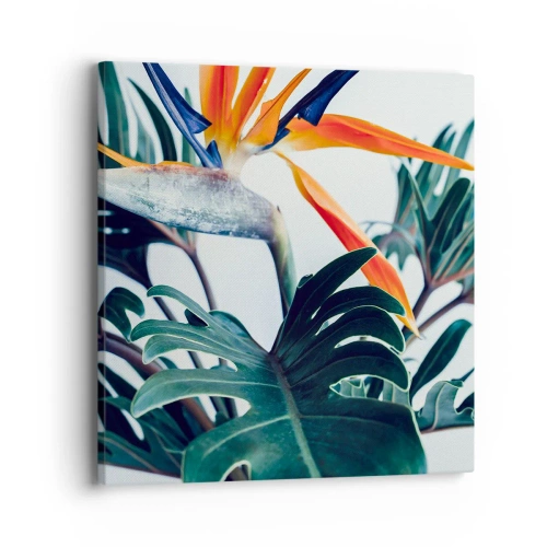 Vászonkép - Madárkalitka - 40x40 cm