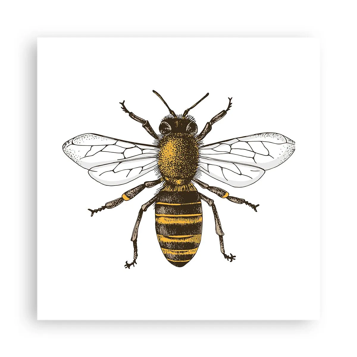 Poszter - Gyönyörű és jó - 40x40 cm