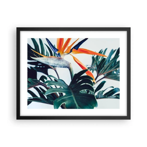 Poszter fehér keretben - Madárkalitka - 50x40 cm