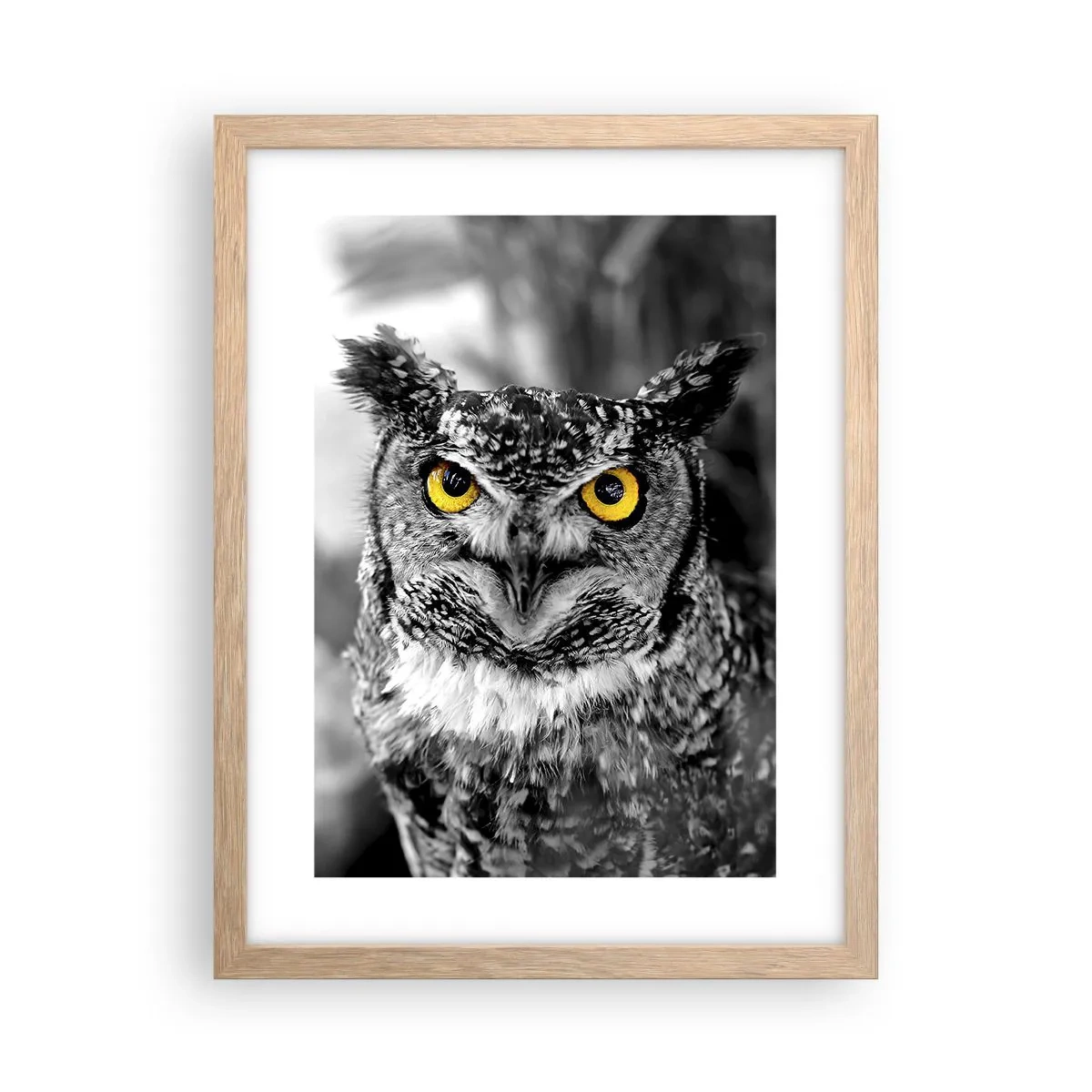 Poszter világos tölgy keretben - Semmi sem fog elbújni - 30x40 cm