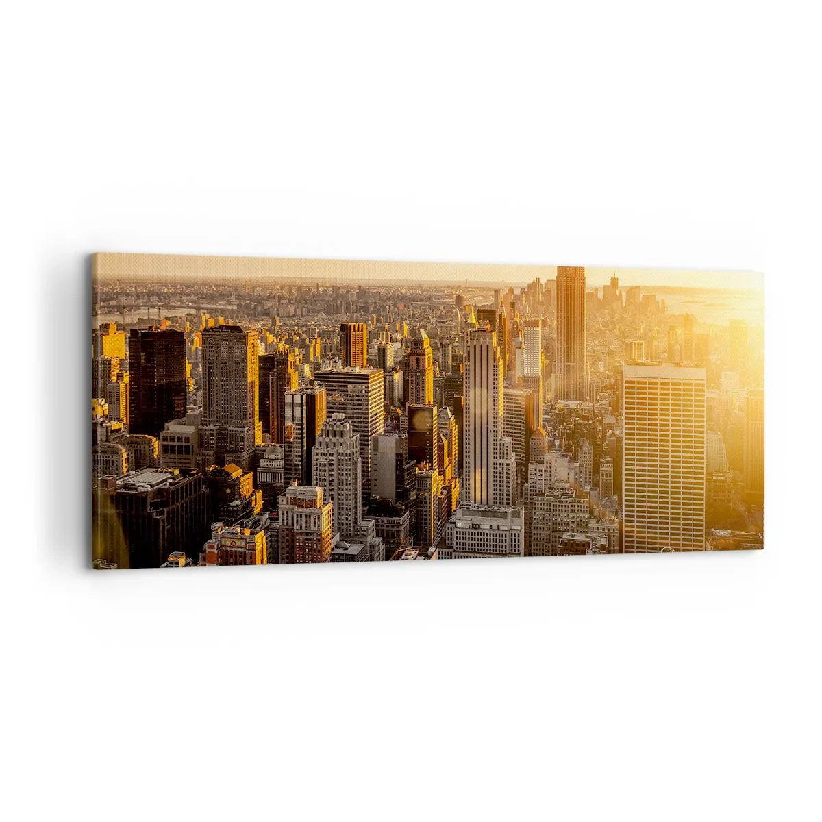 Vászonkép - Növekedni a napon - 100x40 cm
