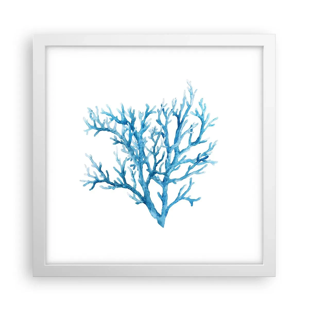 Poszter fekete keretben - Tengeri filigrán - 30x30 cm