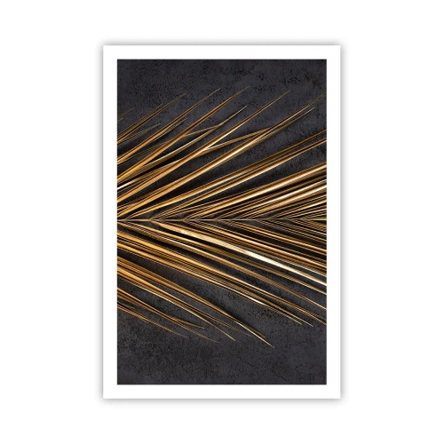 Poszter - A trópusok aranya - 61x91 cm