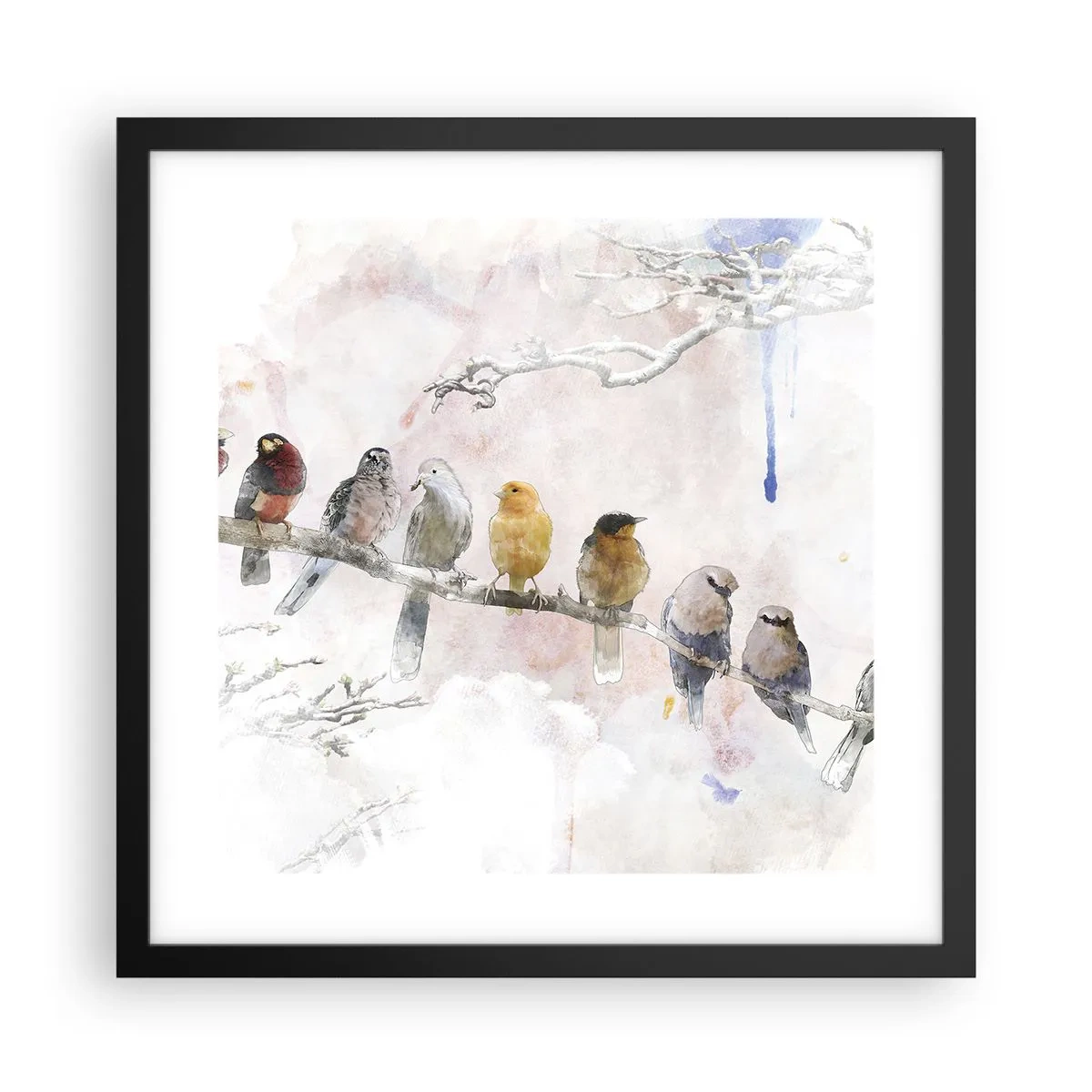 Poszter fehér keretben - Szárnyas találkozó - 40x40 cm