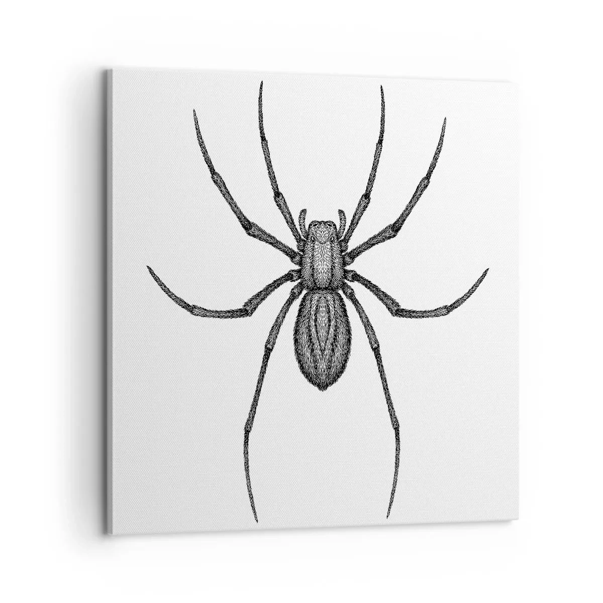 Vászonkép - Zavaró precizitás - 60x60 cm