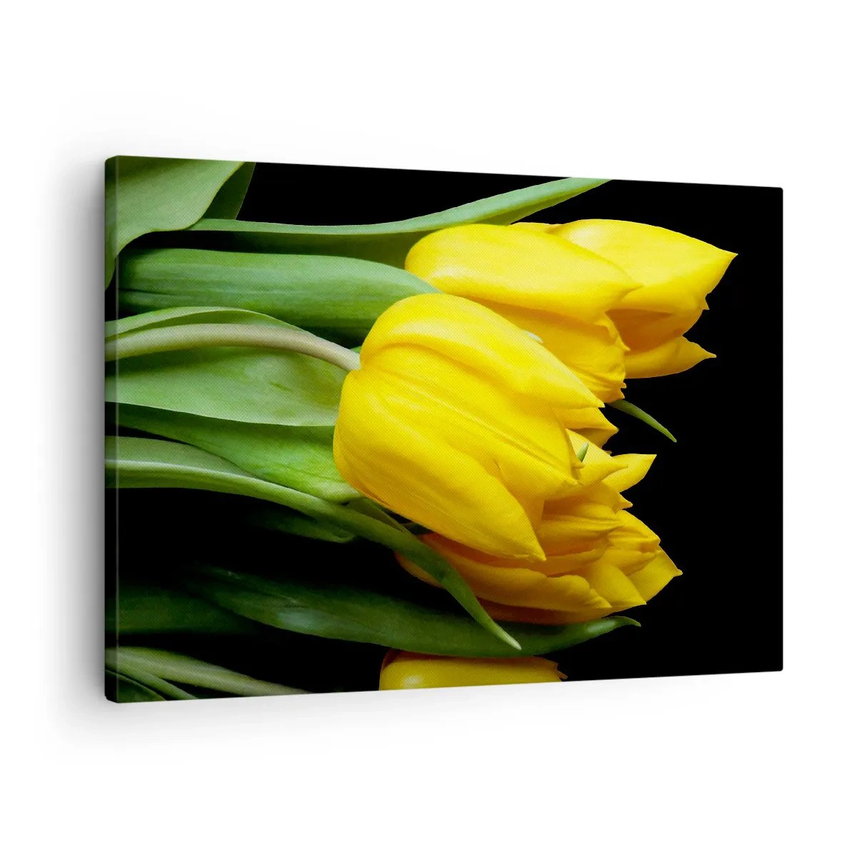 Vászonkép - Egy csokor sárga tulipán fekete alapon - 70x50cm - Tiszta napból készült - Modern fali dekoráció nappalihoz és hálószobához ARTTOR