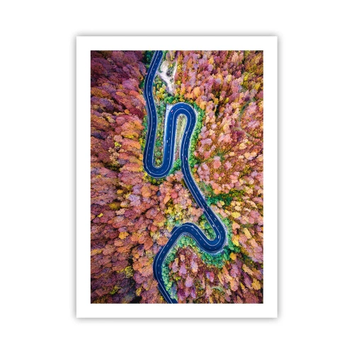 Poszter - Kanyargós út az erdőn keresztül - 50x70 cm