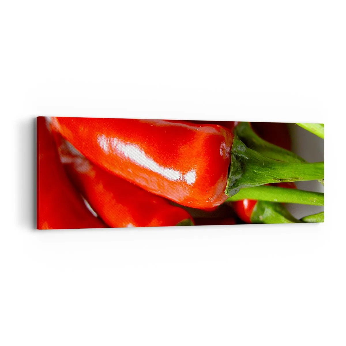 Vászonkép - Lédús, fényes, sima - 90x30 cm