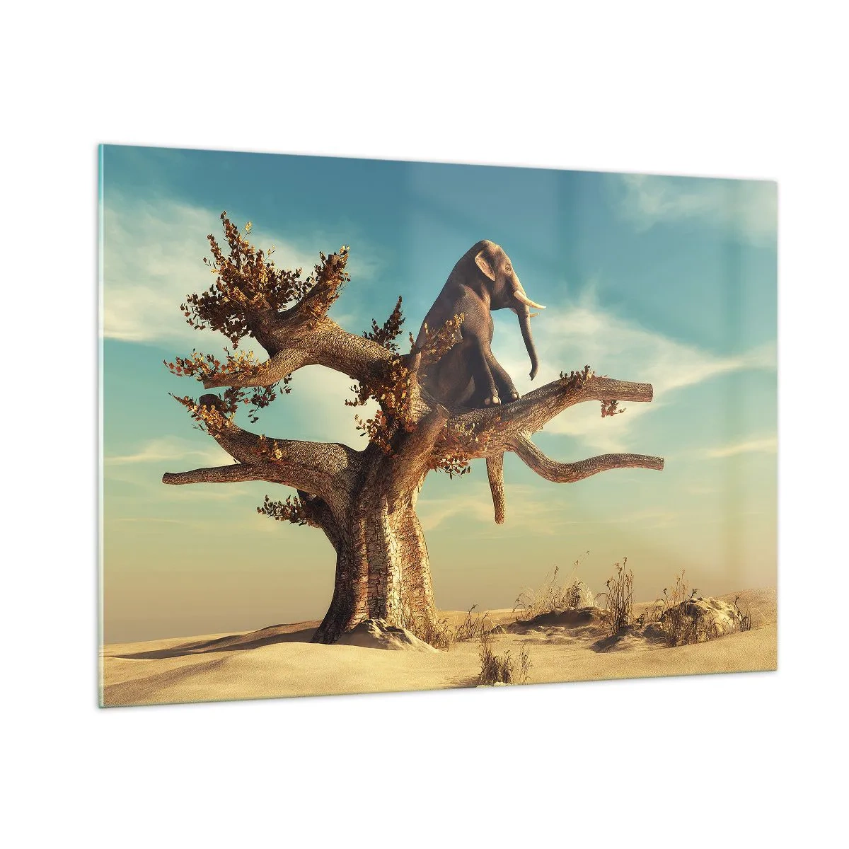 Üveg kép - Egy új nézőpont - 100x70 cm